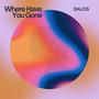 Where Have You Gone