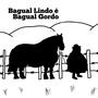 Bagual Lindo é Bagual Gordo