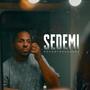 SEDEMI (feat. Rodesens) [Explicit]