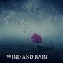 Wind and Rain (feat. James Douglas)