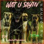 Wat U Sayin (Explicit)