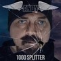 1000 Splitter