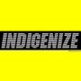 INDIGENIZE THE WORLD (Explicit)