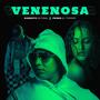 Venenosa (feat. Mediterraneo & El Terror)