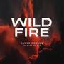 Wildfire (feat. Alex Delzer)