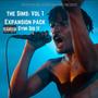 Expansion Pack: The Sims Volume 1 (Explicit)