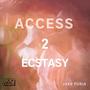 Access 2 Ecstasy (feat. Ubiquitous Twist)