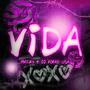 Vida