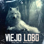 Viejo Lobo