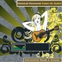 Classical Flavoured Tunes On Guitar - Instrumental Moods & Grooves!