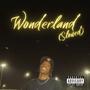 Wonderland (Slowed) [Explicit]