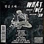 WHAT DEY ON (feat. Juggalot) [Explicit]