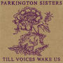 Till Voices Wake Us