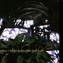 სხვა ქალაქში მღვიძავს (feat. Bobby Kensei)