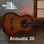 Acoustic 20