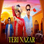 Teri Nazar