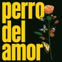 Perro del amor