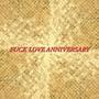 **** Love Anniversary (Explicit)