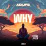 WHY (Explicit)