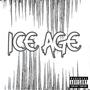 Vulture Flow (Explicit)