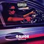 Gauge (Explicit)