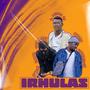 Irhulas (feat. Sporo Vocalist & Shaun mjita wasekasi)