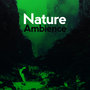 Nature Ambience