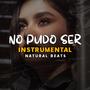 No Pudo Ser (Instrumental)