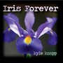 Iris Forever