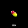 Trunk (Explicit)