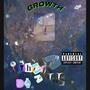 Growth (Explicit)