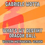 What's my Destiny Dragon Ball (western instrumental version) Salva (Western Instrumental Version)