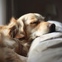 Gentle Dog Harmony: Music for Soothing Anxiety