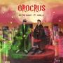 Orocrus (feat. Morillo) [Explicit]