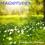 Magnitudes