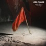 Red Flags (Explicit)