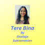 Tere Bina