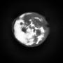 blue_moon (Explicit)