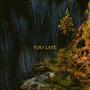 TOO LATE (Explicit)