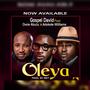 Oleya (He has done it) (feat. Owie Abutu, Adakole williams)