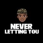 Never Letting You