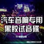 汽车音响专用试音碟