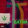 Sativa