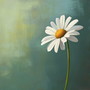 하얀 봄 (White Spring)