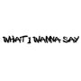 What I Wanna Say (Explicit)