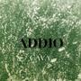 ADDIO (feat. ross gossage & kndey) [Explicit]