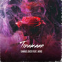 Tinamaan