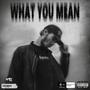 WHAT YOU MEAN (Explicit)