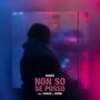 Non So Se Posso (feat. Sarasì & sorre)