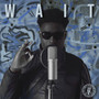 Wait (Explicit)